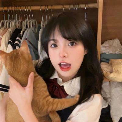 老虎队