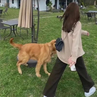 小石头